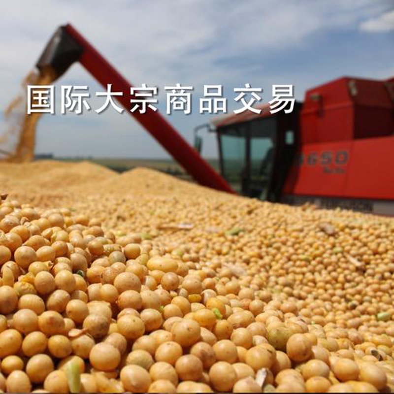 供应链管理在现代企业管理中的重要性